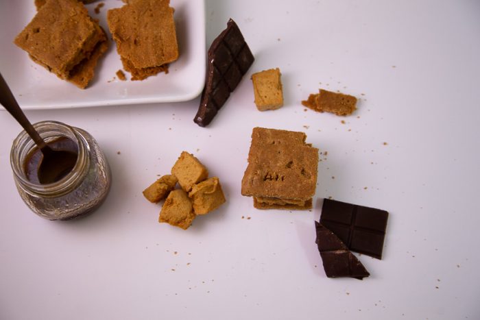 Guest Post: Salted Caramel S'mores {AIP + Paleo} Guest Post: Salted Caramel S'mores {AIP + Paleo}
